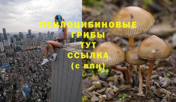 мдпв Карталы