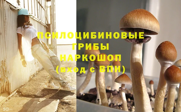 наркотики Карпинск