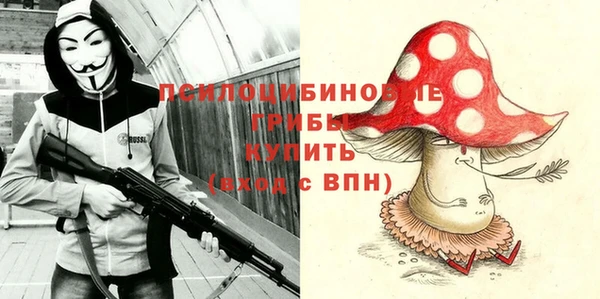 мдпв Карталы