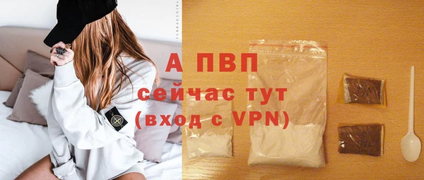 хмурый Каменка