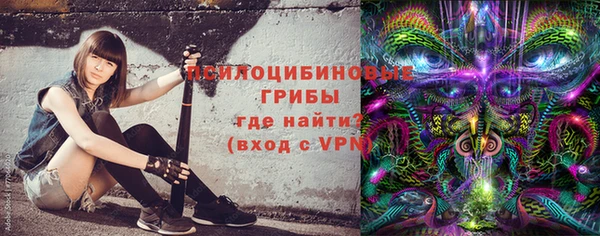 мдпв Карталы