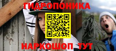 дживик Лесосибирск