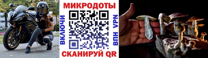Галлюциногенные грибы Cubensis  Усть-Джегута 