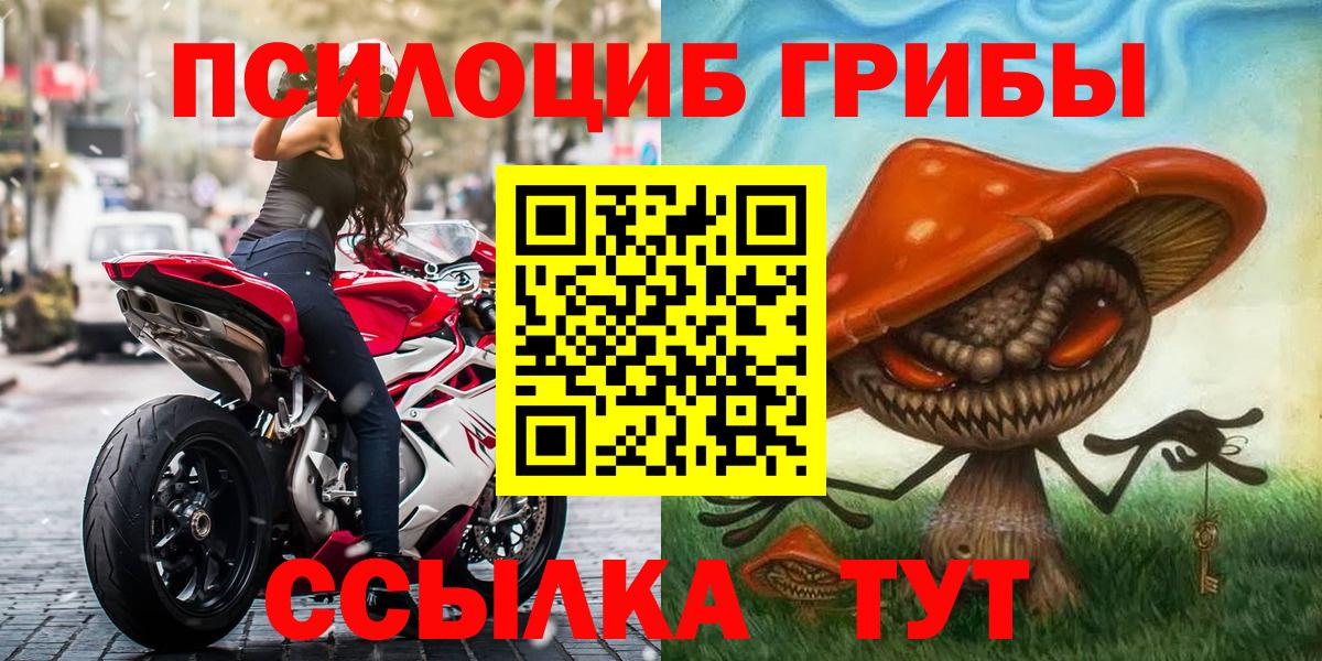 Усть-Джегута  даркнет сайт  Вход с VPN  Галлюциногенные грибы Magic Shrooms  Галлюциногенные грибы Psilocybe 
