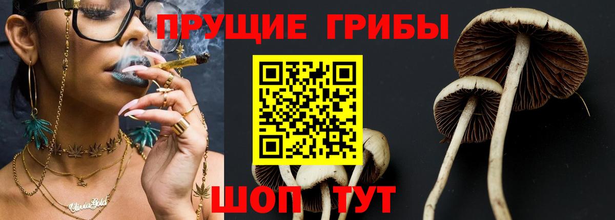Псилоцибиновые грибы прущие грибы Усть-Джегута