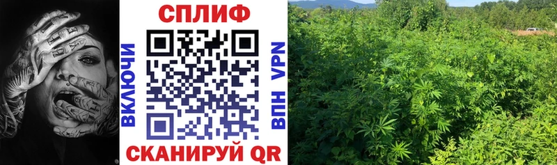 Каннабис THC 21%  Усть-Джегута 