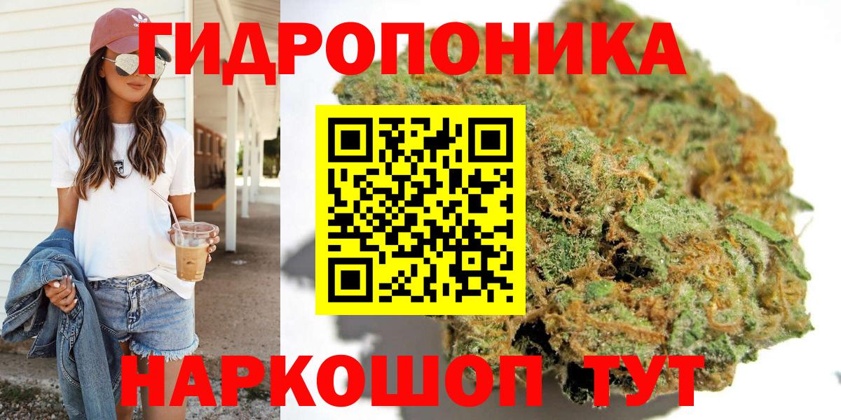 Бошки Шишки планчик Усть-Джегута